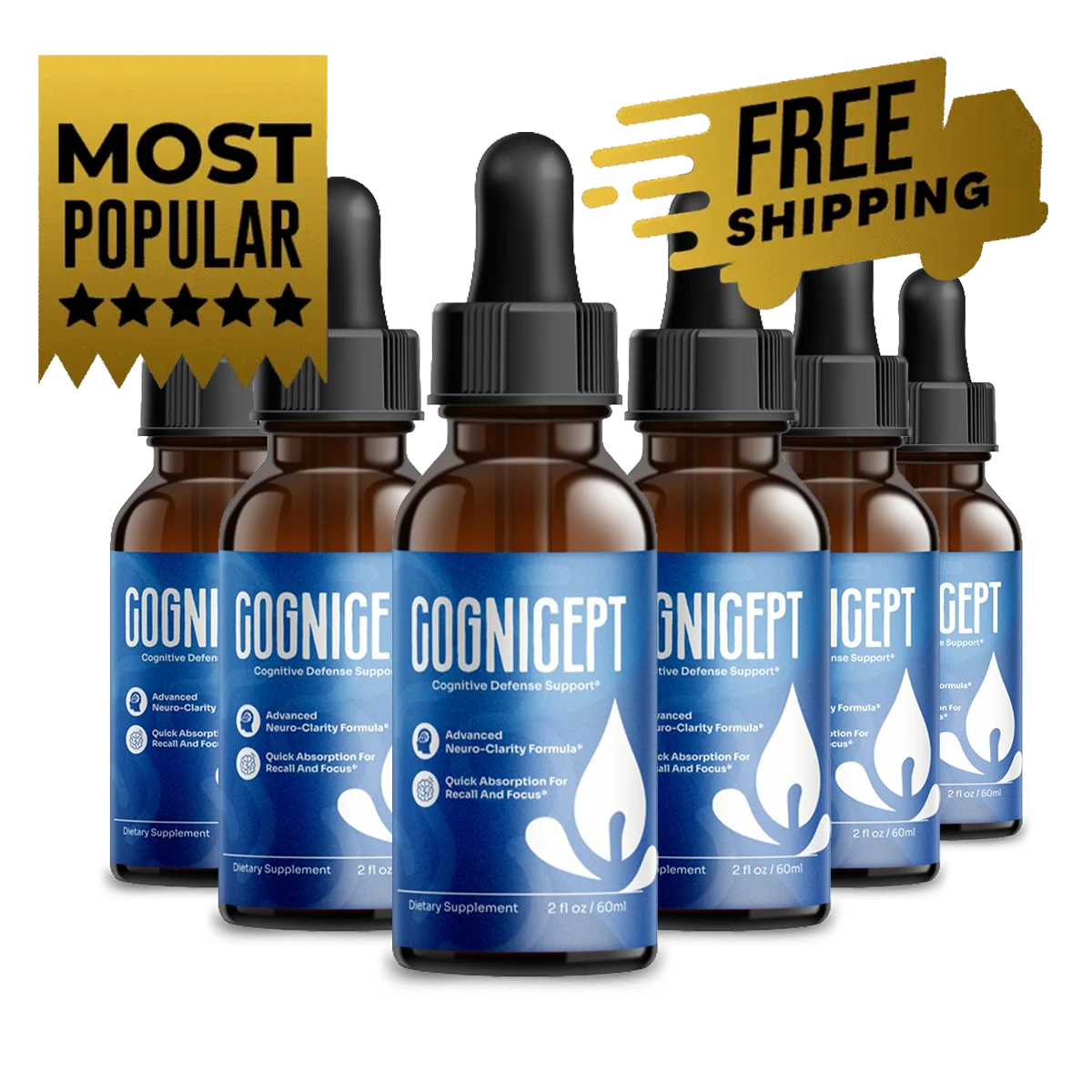 Cognicept   6 bottle